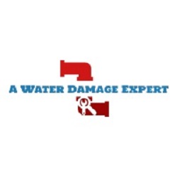 A Water Damage Expert